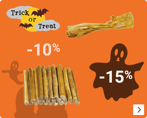 SNACKMAAND SNACKS HOND DIVERSE tot 15% korting DOG