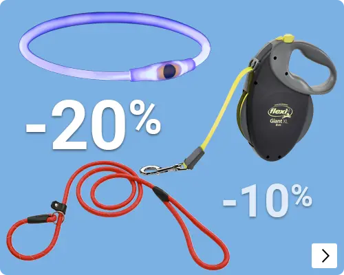 VERLICHTING EN VEILIGHEID tot 20% korting DOG