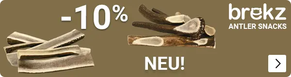 BREKZ ANTLERS introductie korting 10% DOG