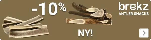 BREKZ ANTLERS introductie korting 10% DOG