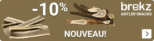 BREKZ ANTLERS introductie korting 10% DOG