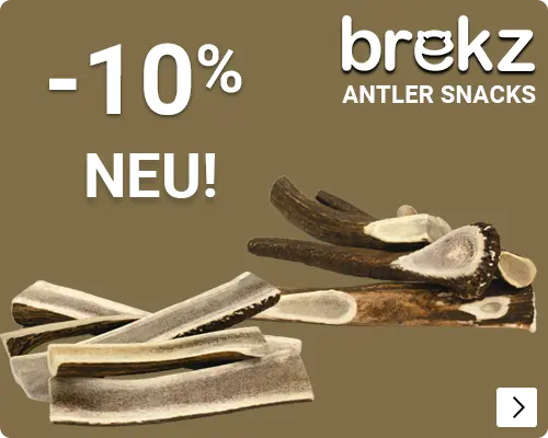 BREKZ ANTLERS introductie korting 10% DOG