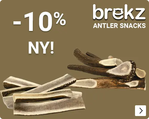 BREKZ ANTLERS introductie korting 10% DOG
