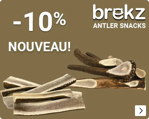 BREKZ ANTLERS introductie korting 10% DOG