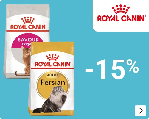 Royal Canin kattenvoer droog kleinverpakking tm 4kg muv start of life 30% korting op de 2e zak