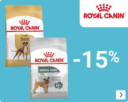 ?query=Okt2025RoyalWetDog