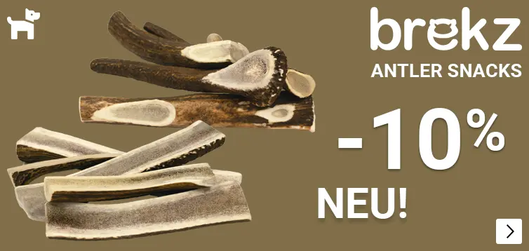 BREKZ ANTLERS introductie korting 10% DOG