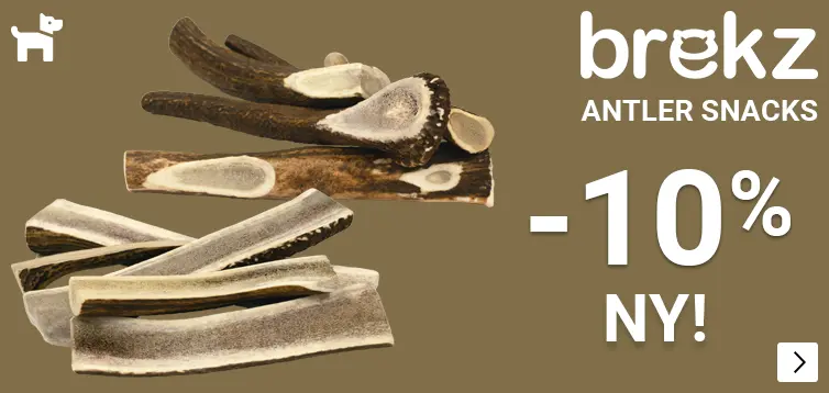 BREKZ ANTLERS introductie korting 10% DOG