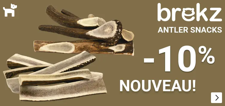 BREKZ ANTLERS introductie korting 10% DOG