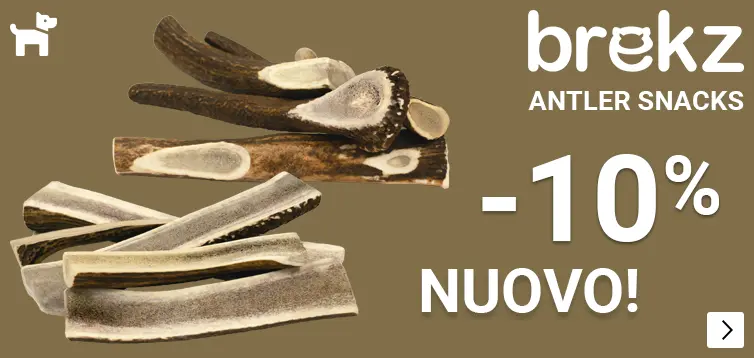 BREKZ ANTLERS introductie korting 10% DOG