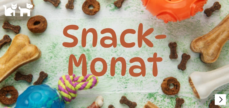 snack theme