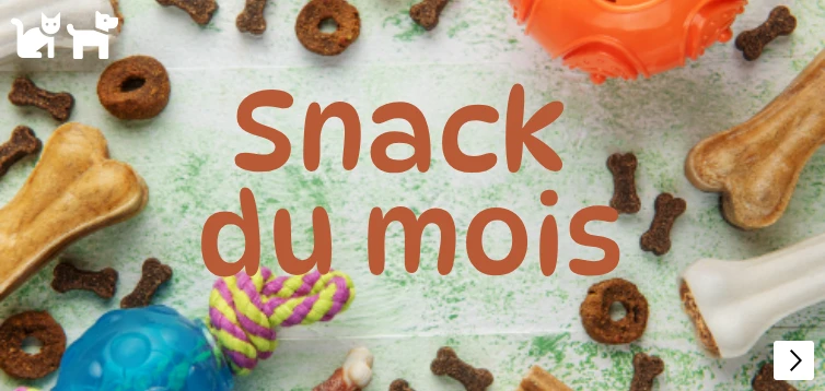 snack theme