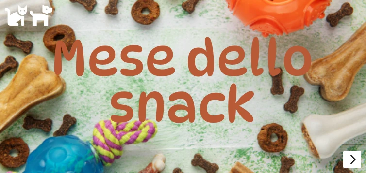 snack theme