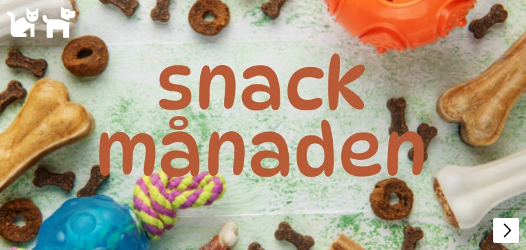 snack theme
