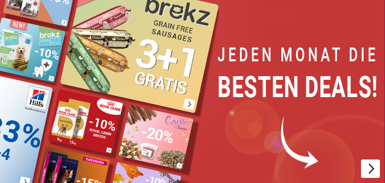 SummerSale