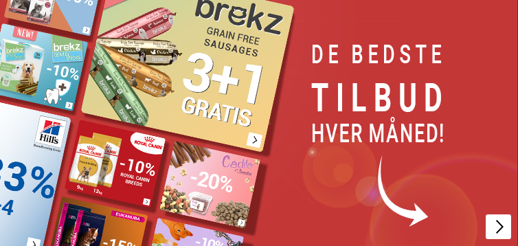 SummerSale