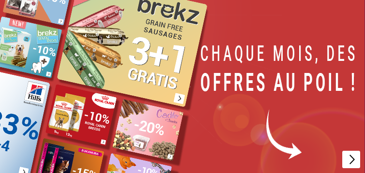 SummerSale