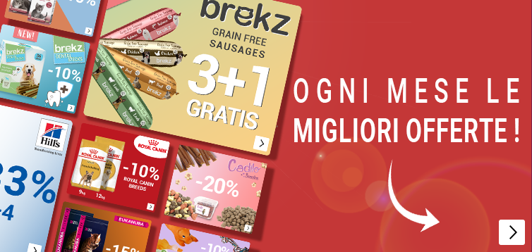 SummerSale