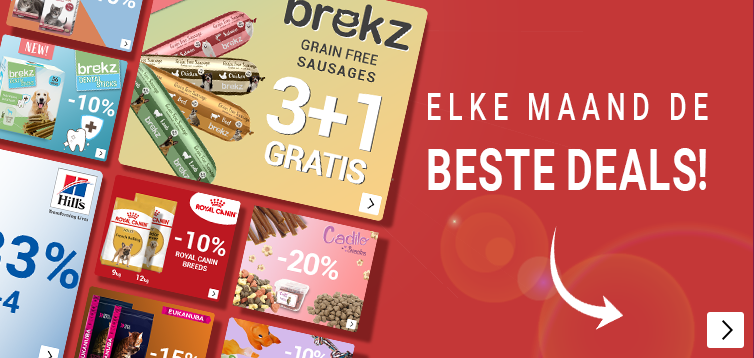 SummerSale