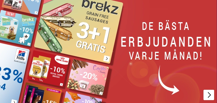 SummerSale