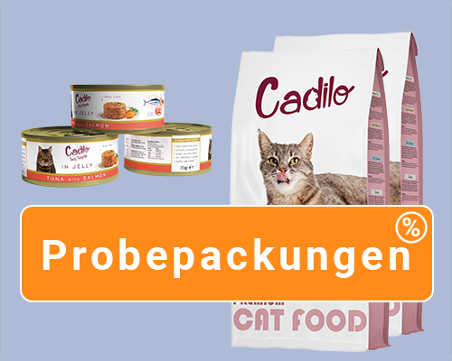 Probeer - Cat