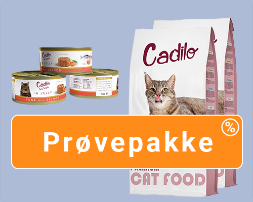 Probeer - Cat