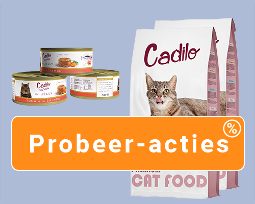 Probeer - Cat