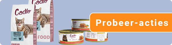 Probeer - Cat