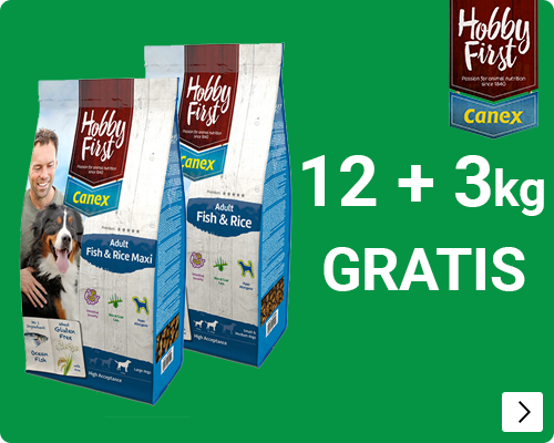 HobbyFirstBONUSBAGS