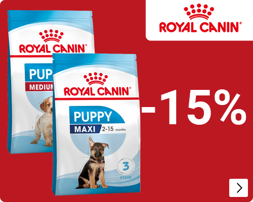 Royal Canin Start of Life grootverpakkingen 8-15 kg hond 15% korting DOG