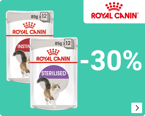 Royal Canin natvoer reguliere voeding 30% korting kat let op 4 weekse actie CAT