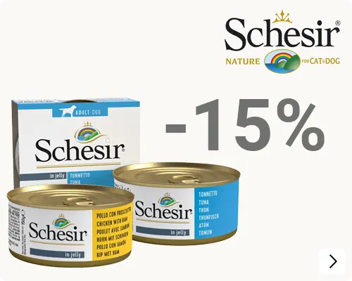 schesir sept