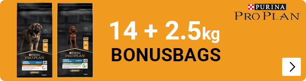 pro Plan bonus