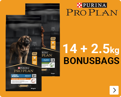 pro Plan bonus