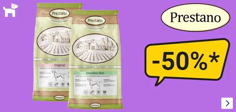 PRESTANO tot 50% korting DOG