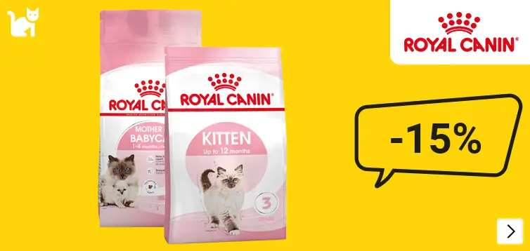 Royal Canin Start of Life grootverpakkingen kat 15% korting CAT