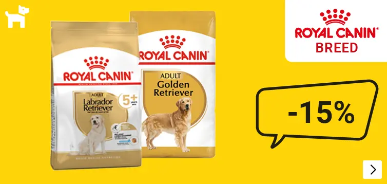 royal canin big breed dog