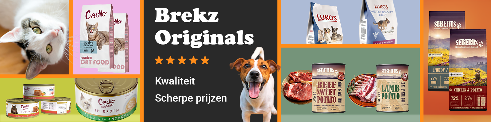 top banner