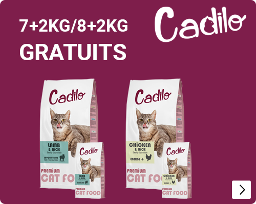 CADILO DROOGVOER CAT