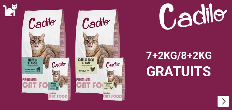 CADILO DROOGVOER CAT