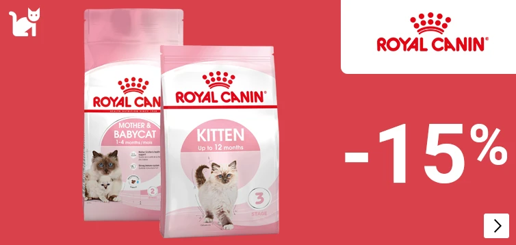 Royal Canin Start of Life grootverpakkingen kat 15% korting CAT