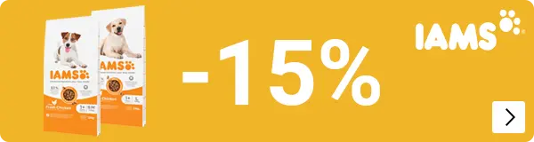 iams grootverpakkingen hond en kat 15% korting DOG CAT