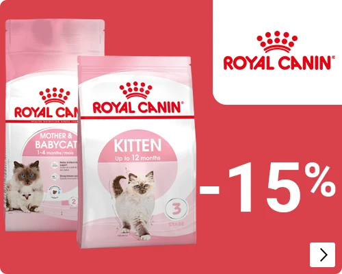 royal canin kitten jun