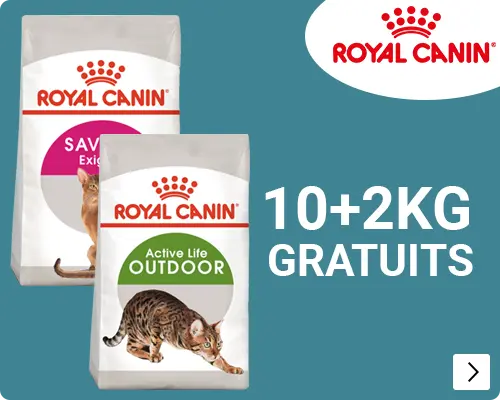 Royal Canin Bonusbags hond 15+3KG CAT