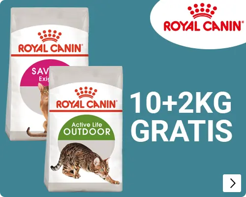 Royal Canin Bonusbags hond 15+3KG CAT