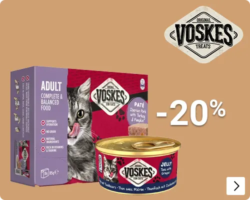 VOSKES CAT