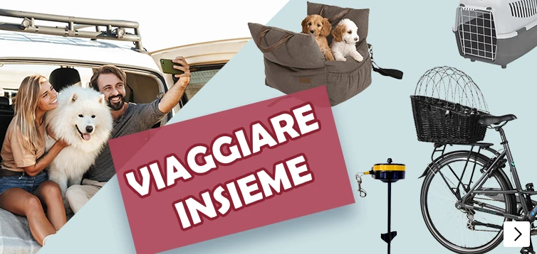 op reis banner