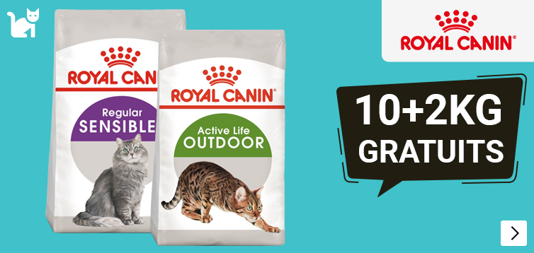 Jan2026RoyalCaninBonusCat