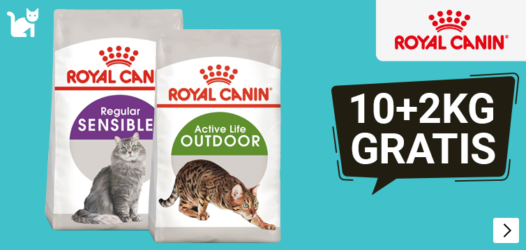 Jan2026RoyalCaninBonusCat