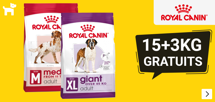 Jan2026RoyalCaninBonusDog